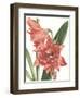 Floral Beauty VII-Vision Studio-Framed Art Print