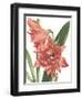 Floral Beauty VII-Vision Studio-Framed Art Print