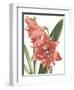 Floral Beauty VII-Vision Studio-Framed Art Print