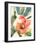 Floral Beauty-null-Framed Art Print