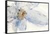 Floral Blue I-Tim O'toole-Framed Stretched Canvas