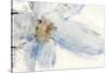 Floral Blue I-Tim O'toole-Stretched Canvas