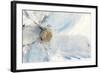 Floral Blue II-Tim O'toole-Framed Art Print