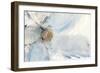 Floral Blue II-Tim O'toole-Framed Art Print