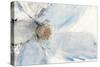 Floral Blue II-Tim O'toole-Stretched Canvas
