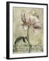 Floral Blush II-Carney-Framed Giclee Print