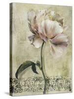 Floral Blush II-Carney-Stretched Canvas