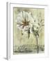 Floral Blush III-Carney-Framed Giclee Print