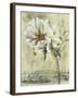 Floral Blush III-Carney-Framed Giclee Print