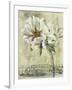 Floral Blush III-Carney-Framed Giclee Print