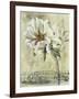 Floral Blush III-Carney-Framed Giclee Print