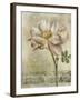 Floral Blush IV-Carney-Framed Giclee Print