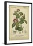 Floral Botanica III-Turpin-Framed Art Print