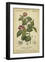 Floral Botanica III-Turpin-Framed Art Print