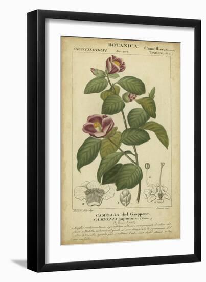 Floral Botanica III-Turpin-Framed Art Print