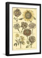 Floral Bounty VI-Vision Studio-Framed Art Print