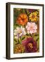 Floral Bouquet II-Brian Francis-Framed Art Print