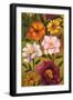 Floral Bouquet II-Brian Francis-Framed Art Print