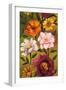 Floral Bouquet II-Brian Francis-Framed Art Print