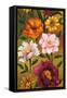 Floral Bouquet II-Brian Francis-Framed Stretched Canvas