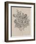 Floral Bouquet II-Tim OToole-Framed Art Print
