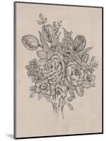 Floral Bouquet II-Tim OToole-Mounted Art Print