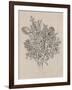 Floral Bouquet II-Tim OToole-Framed Art Print