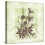 Floral Bouquet-Bee Sturgis-Stretched Canvas