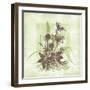 Floral Bouquet-Bee Sturgis-Framed Art Print