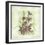 Floral Bouquet-Bee Sturgis-Framed Art Print