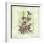 Floral Bouquet-Bee Sturgis-Framed Art Print