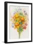 Floral Bouquet-ZPR Int’L-Framed Giclee Print