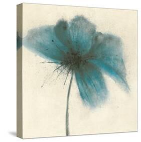 Floral Burst I-Emma Forrester-Stretched Canvas