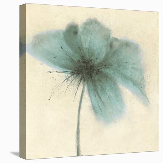 Floral Burst III-Emma Forrester-Stretched Canvas