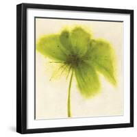 Floral Burst V-Emma Forrester-Framed Giclee Print