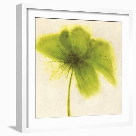 Floral Burst V-Emma Forrester-Framed Giclee Print