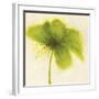 Floral Burst V-Emma Forrester-Framed Giclee Print