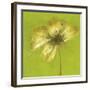 Floral Burst VI-Emma Forrester-Framed Giclee Print