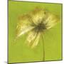 Floral Burst VI-Emma Forrester-Mounted Giclee Print