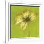 Floral Burst VI-Emma Forrester-Framed Giclee Print