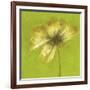 Floral Burst VI-Emma Forrester-Framed Giclee Print