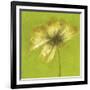 Floral Burst VI-Emma Forrester-Framed Giclee Print