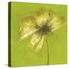Floral Burst VI-Emma Forrester-Stretched Canvas