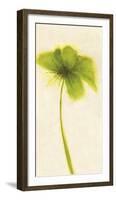 Floral Burst VII-Emma Forrester-Framed Giclee Print