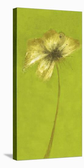 Floral Burst VIII-Emma Forrester-Stretched Canvas