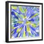 Floral Burst-Kristine Hegre-Framed Giclee Print