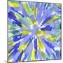 Floral Burst-Kristine Hegre-Mounted Giclee Print