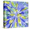 Floral Burst-Kristine Hegre-Stretched Canvas