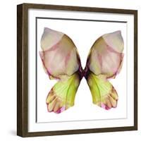 Floral Butterfly 2-Emma Catherine Debs-Framed Art Print