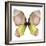 Floral Butterfly 2-Emma Catherine Debs-Framed Art Print